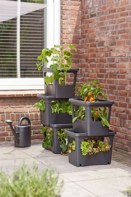 green basics stack & grow large living black